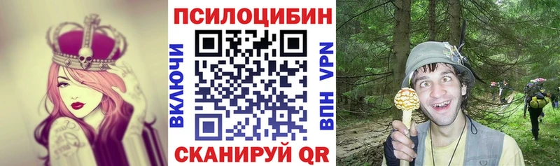 Псилоцибиновые грибы прущие грибы  Купить  Козельск 